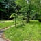 AA Landscaping profile image