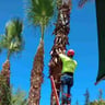 Landcaping Jiménez profile image