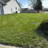Brothers lawn care profile image