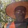 Greens Landscapers profile image