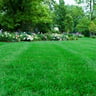 XPRESS LAWN CARE profile image