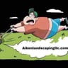 Aiken Landscaping LLC profile image