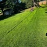 Palmers lawn care and maintenance profile image