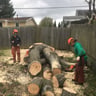 Jose landscaping profile image