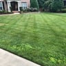 Maxine lawn care profile image