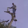 Guzman’s junk hauling & lawn care & more profile image