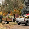 Weiler Lawn & landscape profile image
