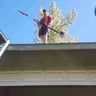 Lawn Care profile image