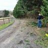 Lynch's Pressure Washing and Landscaping profile image
