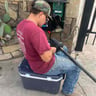 Gonzales Lawn Care profile image