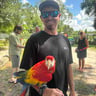Southwest landscaping and property services profile image