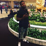 A-one lawn service LLC profile image