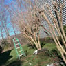 Jkservices lawnscapig José Aguilar profile image