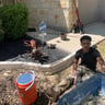 Alius & Aden Lawn Care profile image