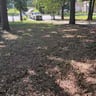 Buddy Boy's Lawncare profile image