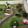 Kings land scaping profile image