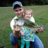 Kp,s lawn care profile image