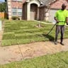 Taylor Lawn Care LLC profile image