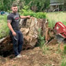 Fratellos lawn and landscape LLC profile image