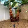 Barefoot Landscape & Design profile image