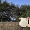 Better Man Landscaping n more profile image