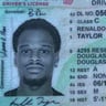 Taylor'D Landscaping profile image