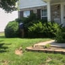 Yesenia Lara Landscaping LLC profile image