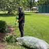 Eilish Scaping Lawn service profile image