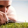 Sawyers lawn services profile image