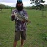 Gilbert's lawncare profile image