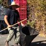 Jp lawncare profile image