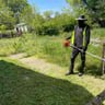 RayLawn Services profile image