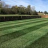 Lawn Starter profile image