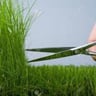 Clear Property Maintenance profile image