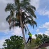 Jlstree&homecare profile image