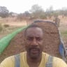 T1he Lawn Whisperer profile image