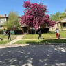 Dem Boyz N Girlz Lawn Services profile image