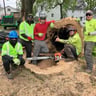 CXC Contracting, LLC profile image