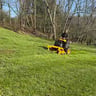 Asap lawncare & landscape LLC profile image