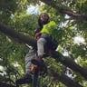 Tays Tree Service profile image