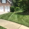 A1lawn Landscaping profile image