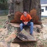 Angel oaks tree sevice profile image