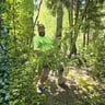 Above-all landscape maintenance llc profile image