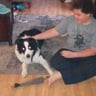 Mom and sons property maintenance profile image