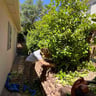 St. George Landscaping profile image