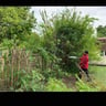 Protouch landscaping profile image