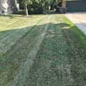 Bush GODZ Landscaping profile image