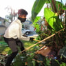 Grow Landscaping profile image