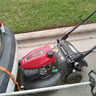 Cole lawn sevice profile image