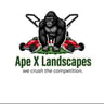Ape X Landscapes profile image